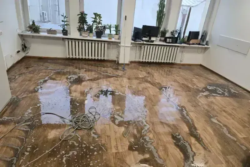 Kiliminės ir PVC dangos valymas — nuotrauka 2