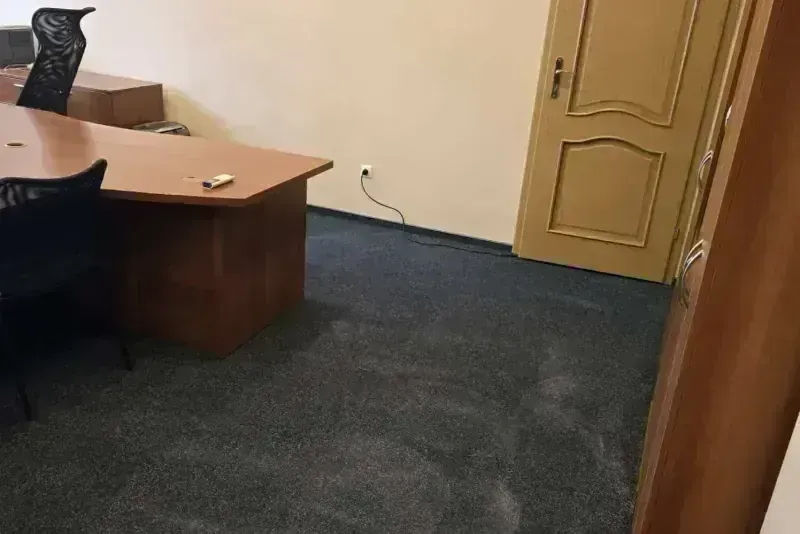 Kiliminės ir PVC dangos valymas — nuotrauka 4