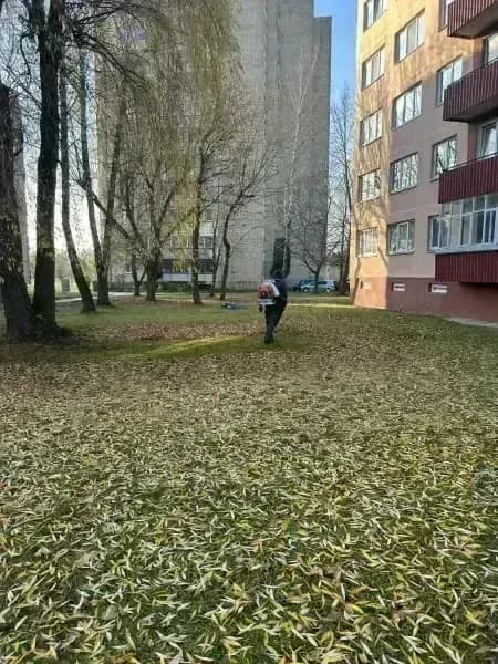 Teritorijos tvarkymas — nuotrauka 3