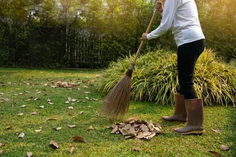 Teritorijos tvarkymas