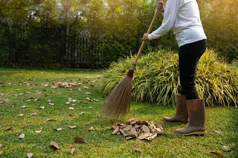Teritorijos tvarkymas